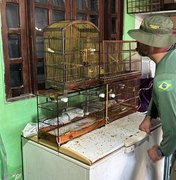 PF deflagra operação contra tráfico de animais silvestres em AL e SE