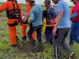 Árvore cai em trabalhador que é resgatado em mata na cidade de Atalaia