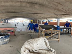 Mercado da Produção tem obras concentradas na segunda etapa de revitalização