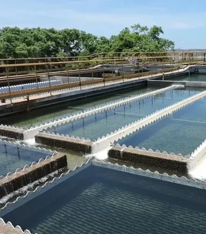 Qualidade de água bruta impacta abastecimento no município de Jacuípe