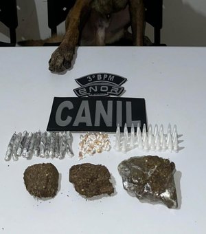 PM-AL apreende 33 armas e quase 14 quilos de drogas em uma semana