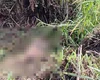 Homem encontrado morto com 40 facadas em Rio Largo é identificado