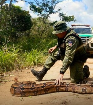 Polícia Militar destaca a apreensão e resgate de seis mil animais silvestres em 2024