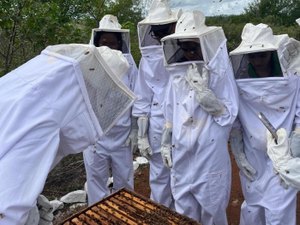 Centro Xingó conclui capacitação técnica em apicultura para alunos do Ifal em Piranhas