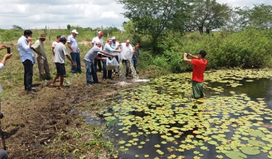 Pequenos agricultores são beneficiados com 40 mil alevinos