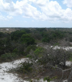 MPF denuncia responsáveis por extração ilegal de areia em área protegida em Marechal Deodoro