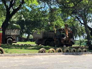 Mutirão recolhe mais de 100 toneladas de resíduos por dia no Dique Estrada