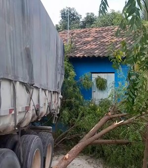 Carreta desgovernada colide em árvores e quase atinge residência em Batalha