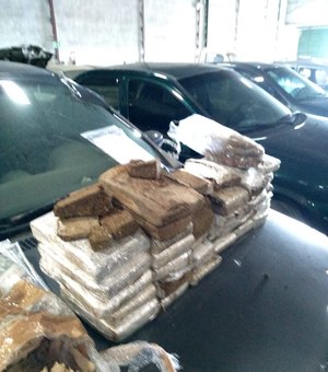 Funcionários do Detran encontram 20kg de drogas durante vistoria em carro apreendido