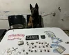 Homem é preso por tráfico de drogas após tentativa de fuga em Arapiraca