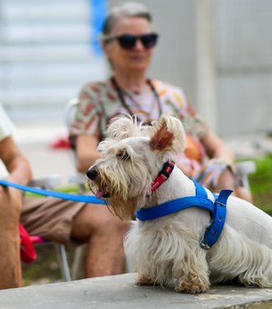 Sesau alerta sobre controle de doenças transmitidas entre animais e seres humanos