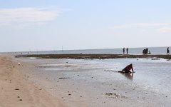 Marisqueiras em Peroba fazem parte do cotidiano da praia