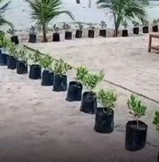 Bar bloqueia faixa de areia em Marechal Deodoro e é notificado pela prefeitura