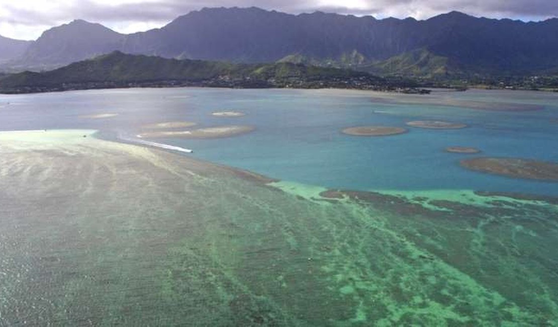 Contra degradação dos recifes de coral, Havaí quer regular protetores solares
