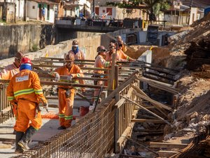 Renasce Salgadinho: jardins filtrantes é utilizado como tecnologia de baixo custo para requalificação ambiental