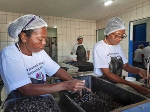 Ufal realiza campanha para ajudar marisqueiras de Alagoas