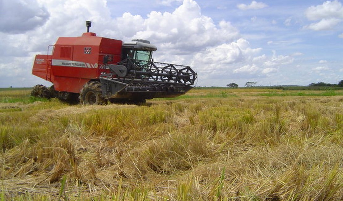 Codevasf investe R$ 137,2 milhões na agricultura familiar