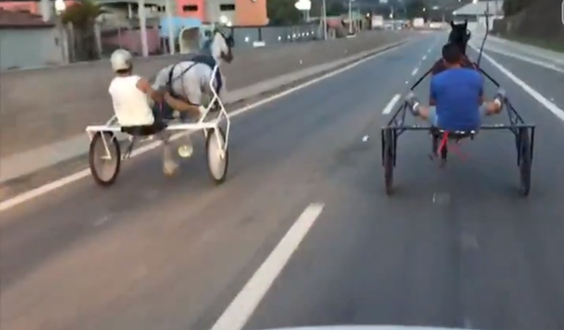 [Vídeo] Cavalo cai durante racha entre charretes em rodovia no interior de SP