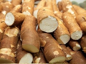 Câmara Setorial vai elaborar plano plurianual para cultura da mandioca