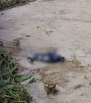 Polícia Científica atua para identificar ossada encontrada em praia de São Miguel dos Milagres
