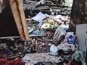 Polícia resgata idosa vítima de maus-tratos no Vale do Reginaldo