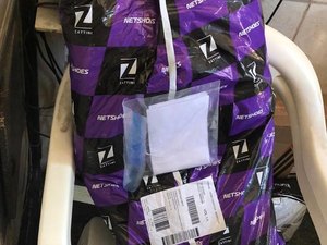 Seção de Crimes Cibernéticos prende jovem suspeita de estelionato virtual