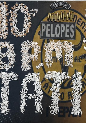 Polícia apreende cocaína, crack e munições em Palmeira dos Índios