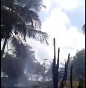 [Vídeo] Incêndio destrói sítio e fogo chega perto de casas em Japaratinga
