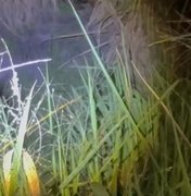 Homem é encontrado morto em canavial do bairro Benedito Bentes, em Maceió