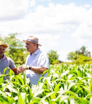 Garantia Safra beneficiará 587 agricultores de Palmeira com mais de R$ 700 mil