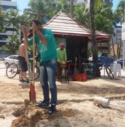 Nossa Praia inicia ações de reposição de placas e bobinas no litoral de Alagoas
