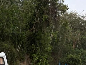 Colisão entre caminhão e picape deixa feridos na BR-316 em Satuba