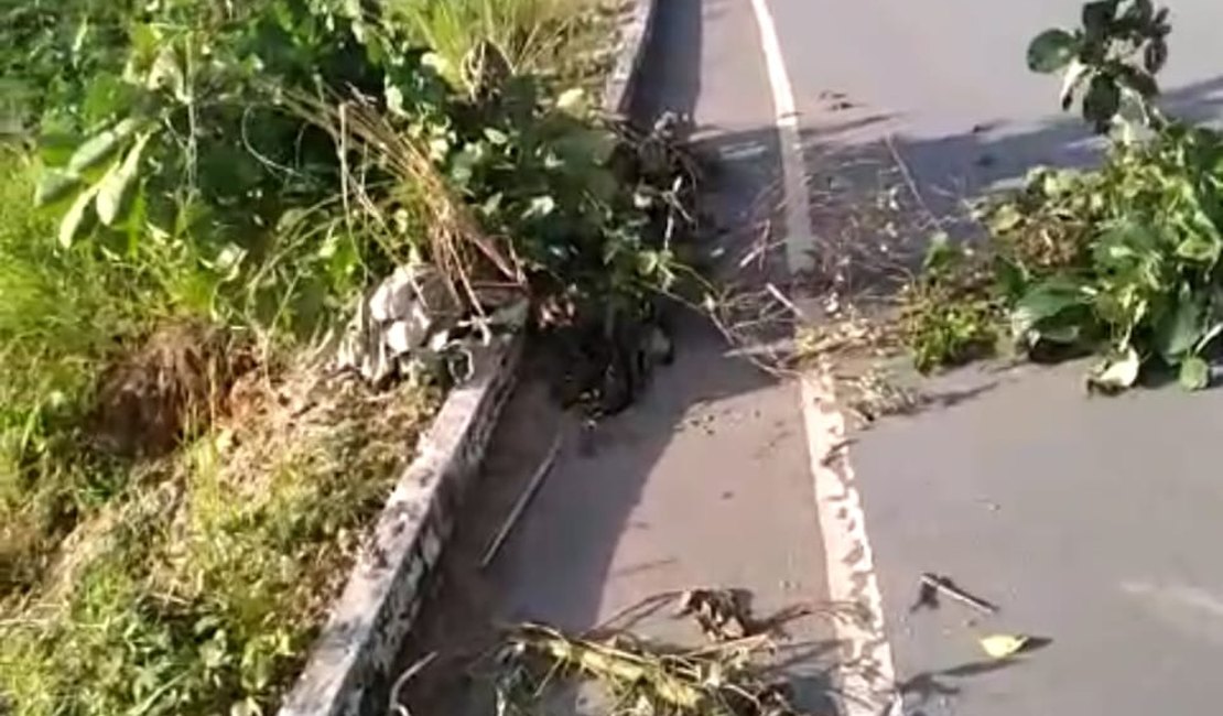 [Vídeo] Buraco na rodovia AL 460 causa perigo em Porto Calvo