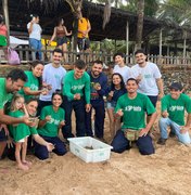 Nascimento raro de 90 tartarugas-verdes é registrado no litoral de Alagoas