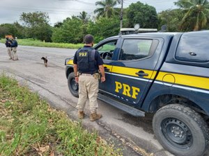 PRF irá intensificar fiscalização em rodovias de Alagoas durante o feriado