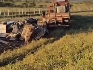Caminhão com carga de tilápias sai da pista para evitar colisão na BR-423, em Delmiro Gouveia