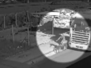 Vídeo mostra instante em que ciclista de 15 anos é atingida por carreta em Maceió