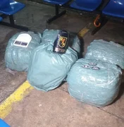 Policia apreende 41 quilos de maconha em residência na Chã da Jaqueira