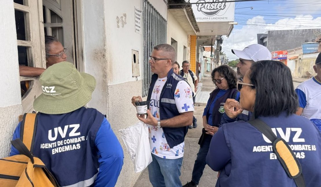 Arapiraca implanta nova estratégia para monitoramento do mosquito da dengue