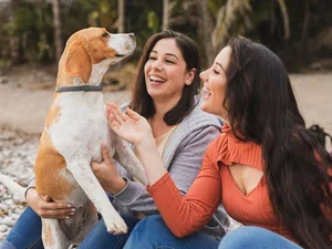 Prefeitura de Palmeira enviará à Câmara projeto que cria Código de Defesa e Bem-Estar Animal