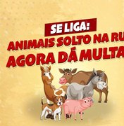 Prefeitura anuncia apreensão de animais soltos nas ruas e multas aos donos em São Luís do Quitunde