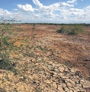 Cooperação técnica combaterá desertificação no semiárido