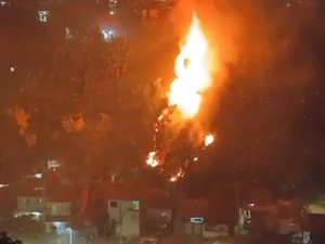 Área de mata no Vale do Reginaldo é atingida por incêndio de grandes proporções