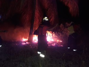 Fogo em vegetação assusta moradores de Porto de Pedras