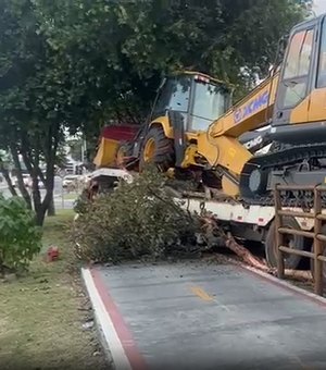 [Vídeo] Carreta invade ciclovia, derruba árvores e causa estragos na Avenida Durval de Góes Monteiro