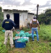 Traficantes são presos com 165kg de maconha no bairro da Santa Lúcia
