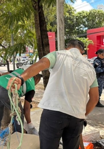 Prefeitura de Maceió remove construções irregulares no Farol e Mangabeiras