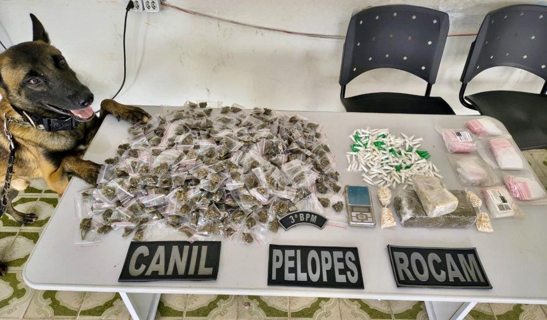 Polícia Militar apreende 38 armas de fogo e mais de 665 Kg de drogas na última semana em Alagoas