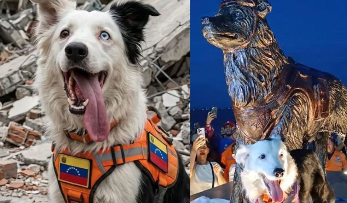 Cão que resgatou vítimas de terremoto na Venezuela ganha estátua