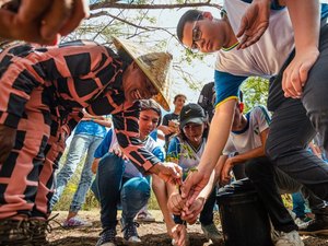Arapiraca fortalece compromisso ambiental com mais de 57 mil árvores plantadas